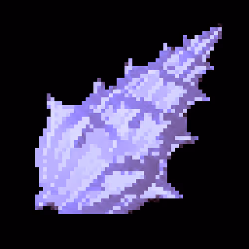 Seashellnetwork