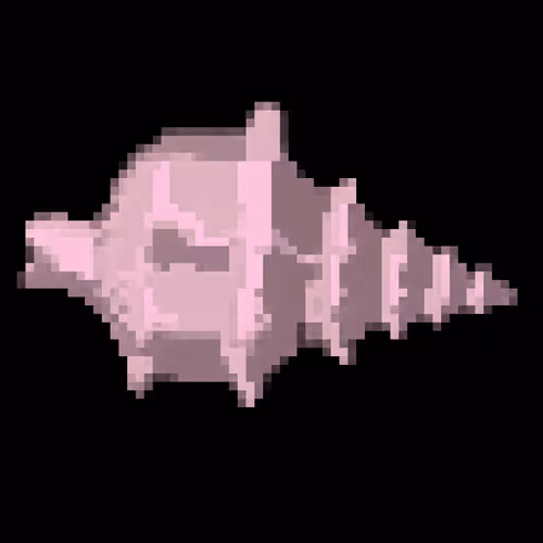 Seashellnetwork