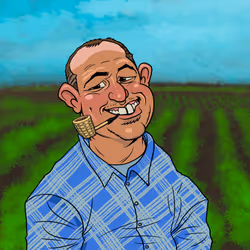 26