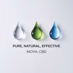 MOYA-CBD #12