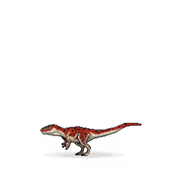 651