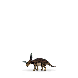 Styracosaurus #913