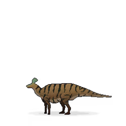 Tsintaosaurus #27