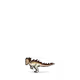 3277