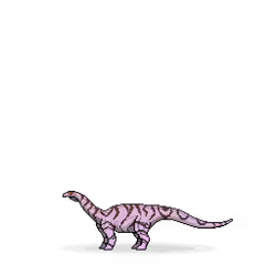5169