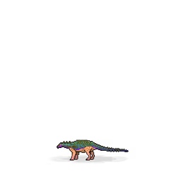 Borealopelta #706