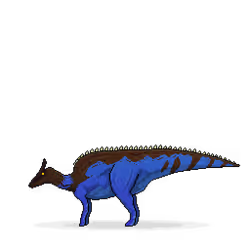 1072