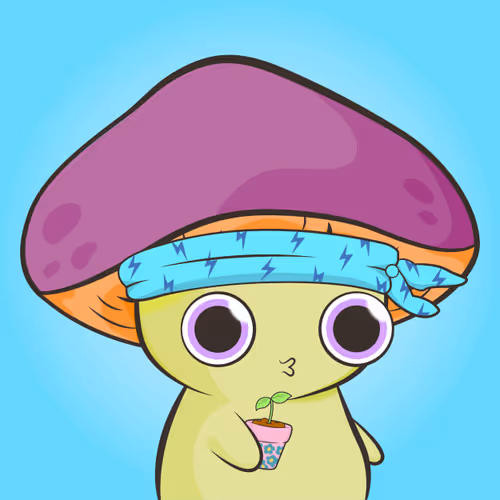 Magic Mushroom Clubhouse