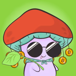 Magic Mushroom #6347