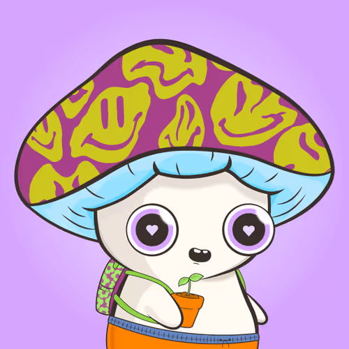 Magic Mushroom Clubhouse