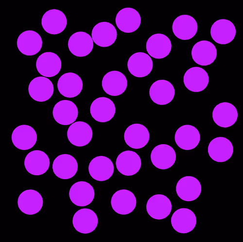 101