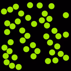 37