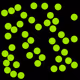 37