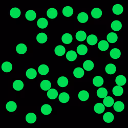 48