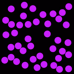 80
