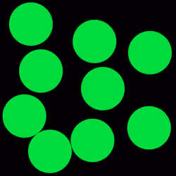 66