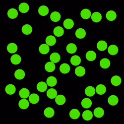 64