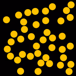 25