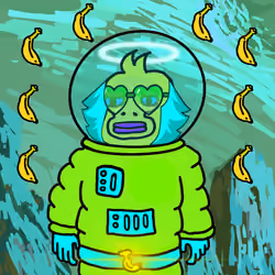 Spacebapepe #1708