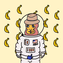 Spacebapepe #1317
