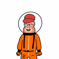 Spacebapepe #15