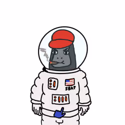 Spacebapepe #1553