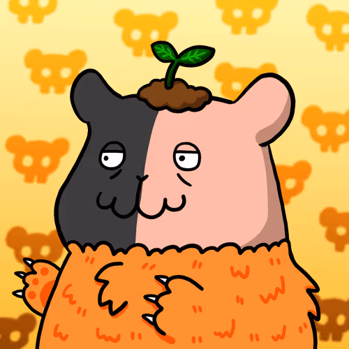 Chonkys
