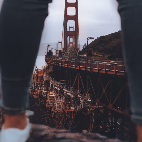 The Little Things Series