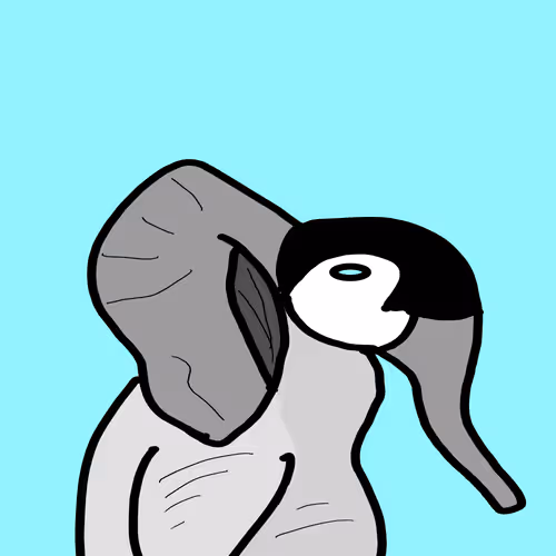 #29