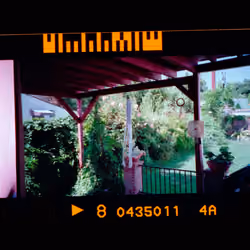 Kodachrome #656