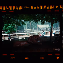 Kodachrome #646