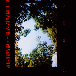 Kodachrome #1416
