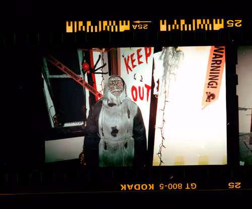 Kodachrome #607
