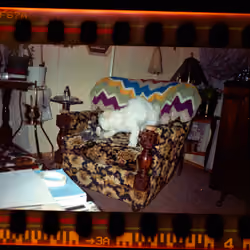 Kodachrome #648