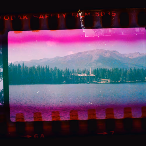 Kodachrome #313