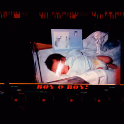 Kodachrome #1466