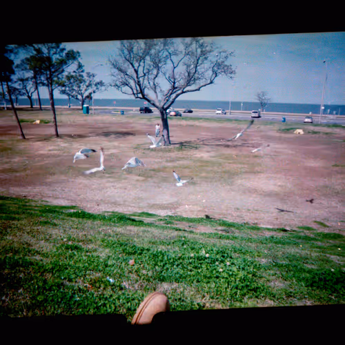 Kodachrome V2