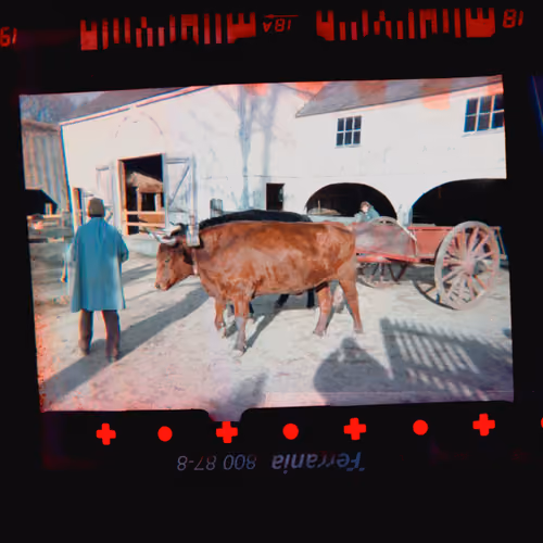 Kodachrome #1084