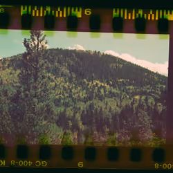 Kodachrome #713