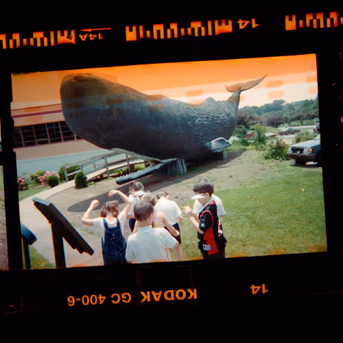Kodachrome #4