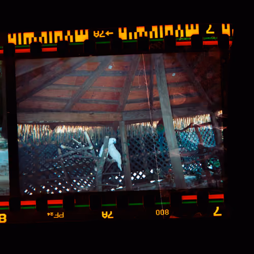 Kodachrome #611