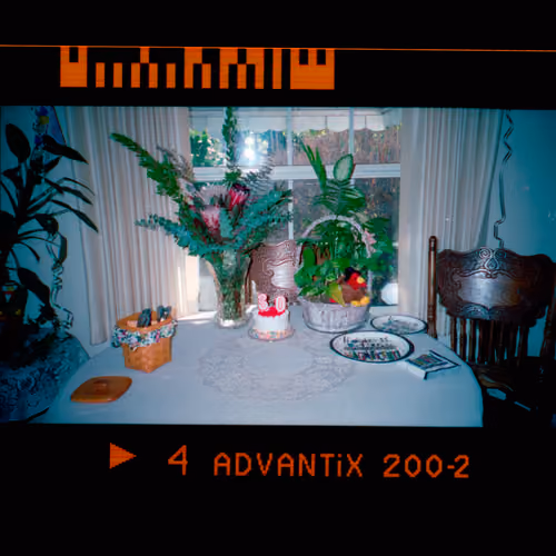 Kodachrome #1124
