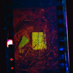Kodachrome #1074