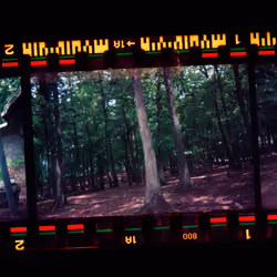 Kodachrome #71