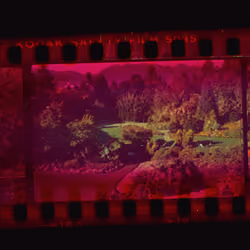 Kodachrome #860