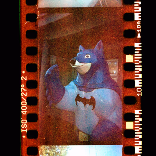 Kodachrome #903