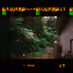 Kodachrome #708