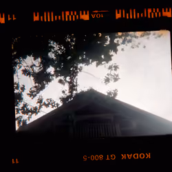 Kodachrome #909