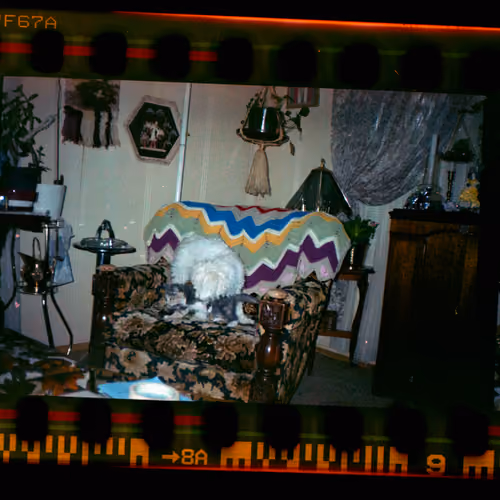 Kodachrome #490