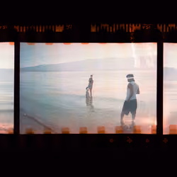 Kodachrome #888